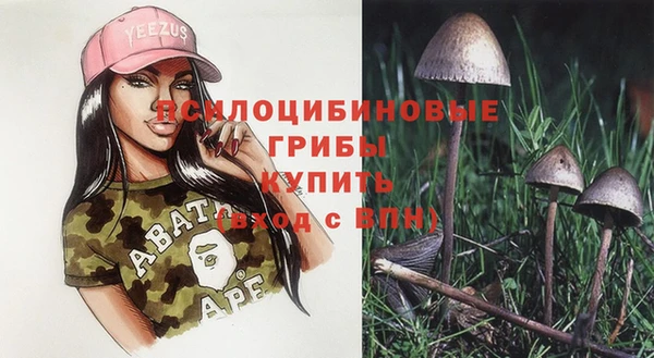 ECSTASY Аркадак